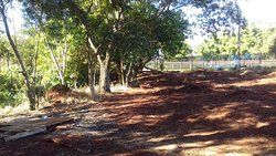 Carlinhos Bar E Restaurante